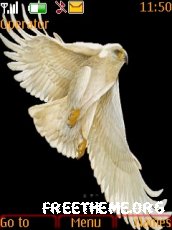 Animated Eagle
